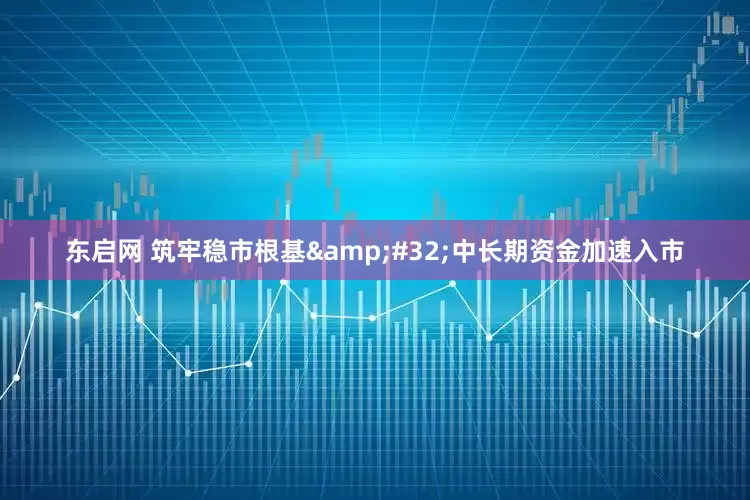 东启网 筑牢稳市根基&#32;中长期资金加速入市