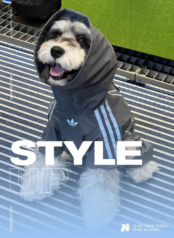 大牛时代 「猫猫狗狗」的 adidas 搭配纯享版…