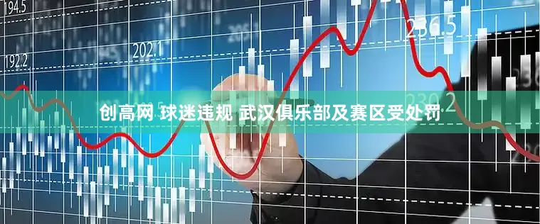 创高网 球迷违规 武汉俱乐部及赛区受处罚